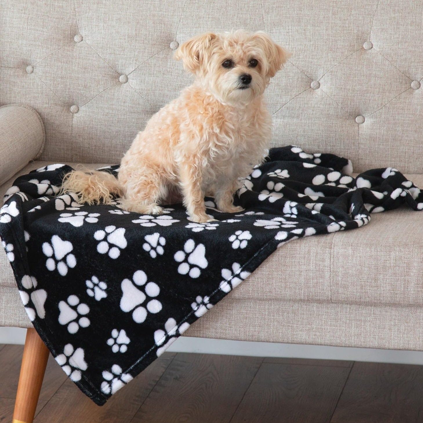 Pet Dog Cat Blanket Ultra Soft Cozy Fleece Paw Print Design Machine Washable Durable for Crates Beds Sofas Travel (Decadent Paws, Large) - Image 6