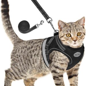 Cat Harness and Leash for Walking, Kitten Escape Proof Harnesses, Adjustable Reflective Puppy Harness with Leashes Set, Easy Adjustable Soft net Breathable Pet Safety Vest Black