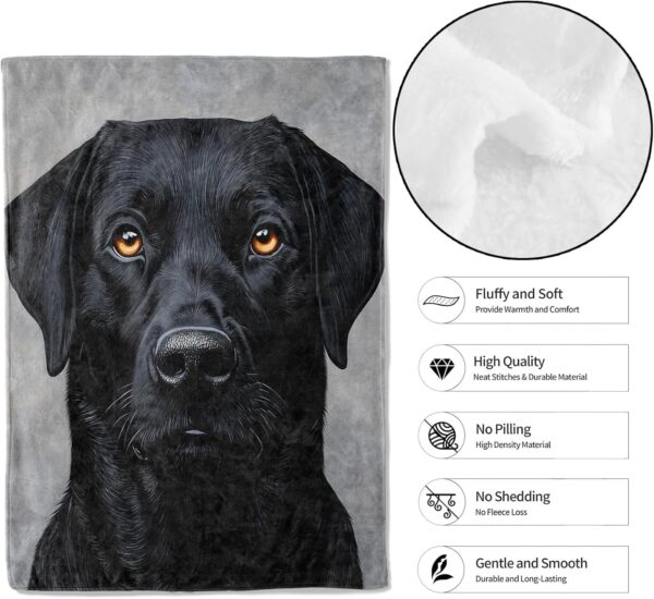 Cool Black Lab Throw Blanket,50x60in,Soft,Lightweight Flannel,Labrador Dog Portrait Blankets - Gifts for Women Men,Pet Lover,for Couch Office Travel,Home Living Room Decor - Image 2