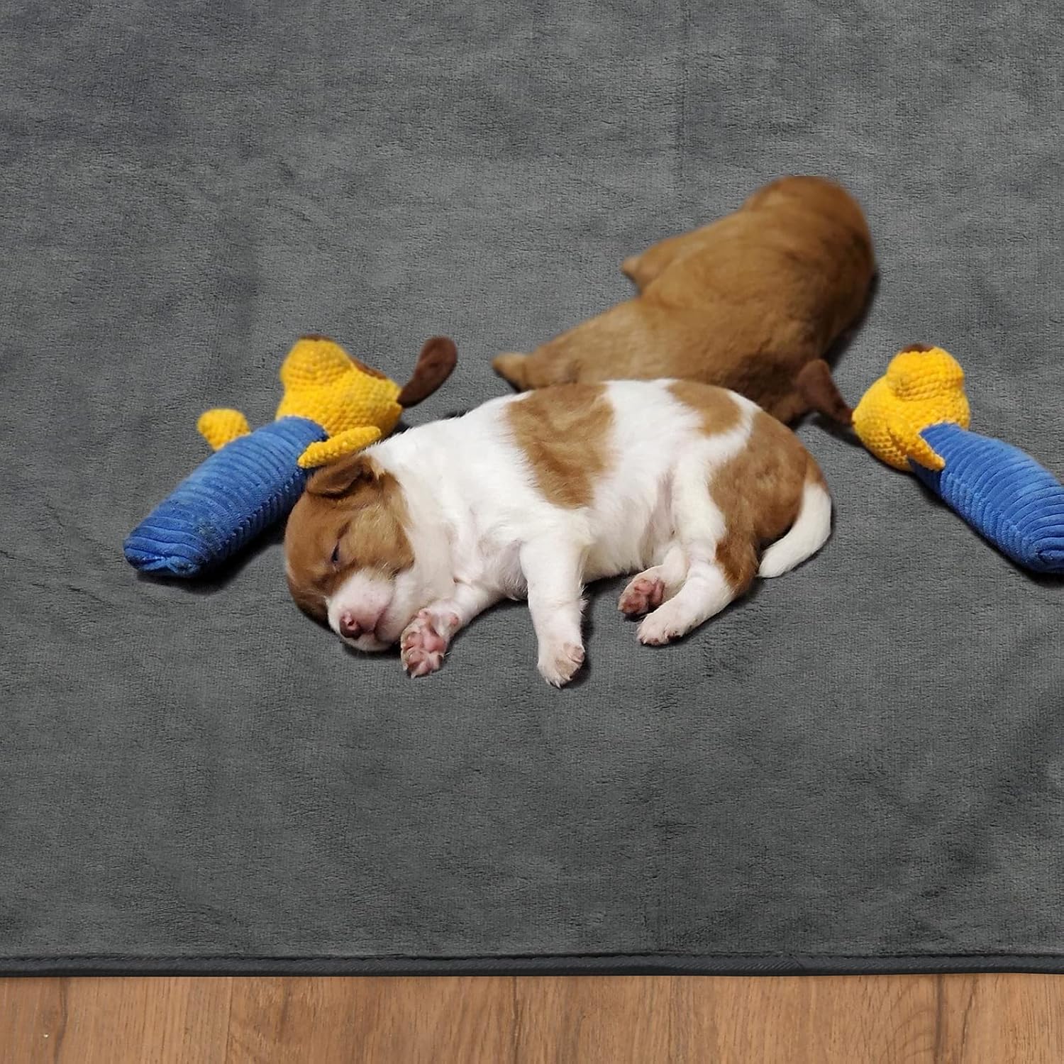 Dog Pee Pad Washable Extra Large, Instant Absorb Thicker Training Pads Non-Slip Pet Playpen Mat, Waterproof Reusable Floor Mat Ideal for Puppy Senior Dog Whelping Incontinence Housebreaking 65x48 Inch - Image 7