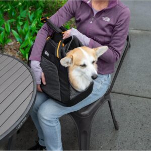 Kurgo Explorer Dog Carrier, Soft Sided Pet Carrier Bag, Duffle Bag Carrier for Dogs, Water-Resistant, Airline Compliant, Wander, Metro, & Explorer Carriers, for Cats & Small Dogs
