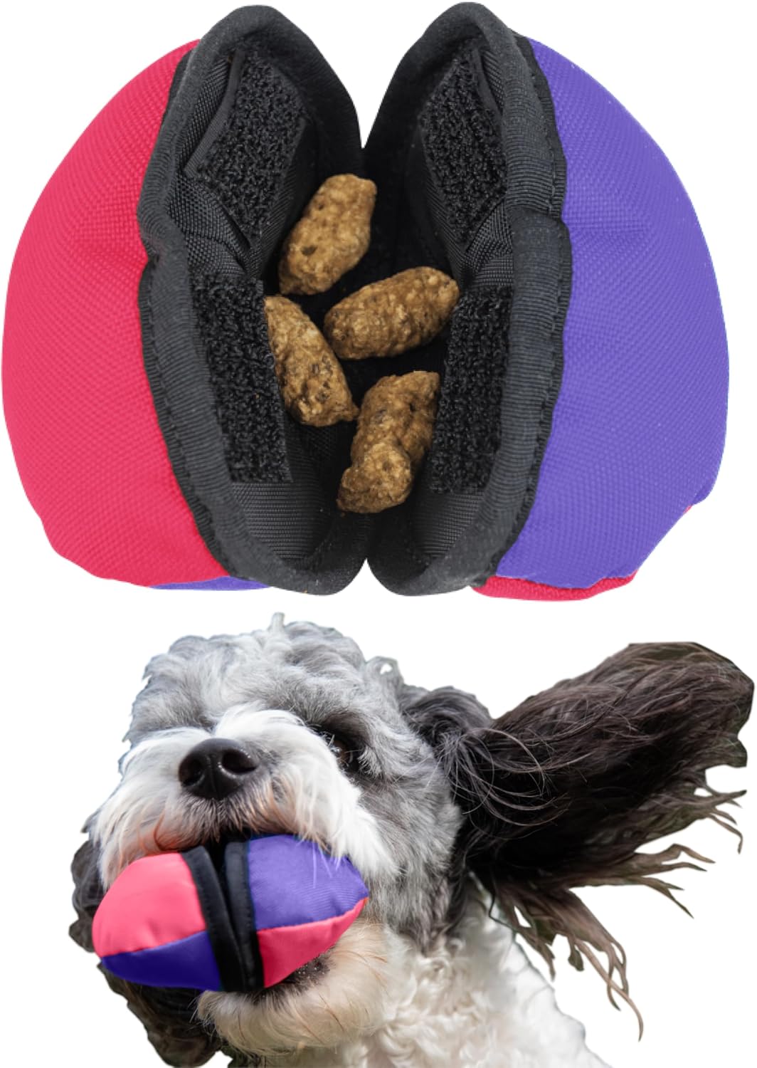 Tug-E-Nuff The Clam | Compact Dog Treat Dispenser Toy with Clever Opening Mechanism | Ideal for Interactive Dog Training | Pocket-Friendly and Size 4.5 inches