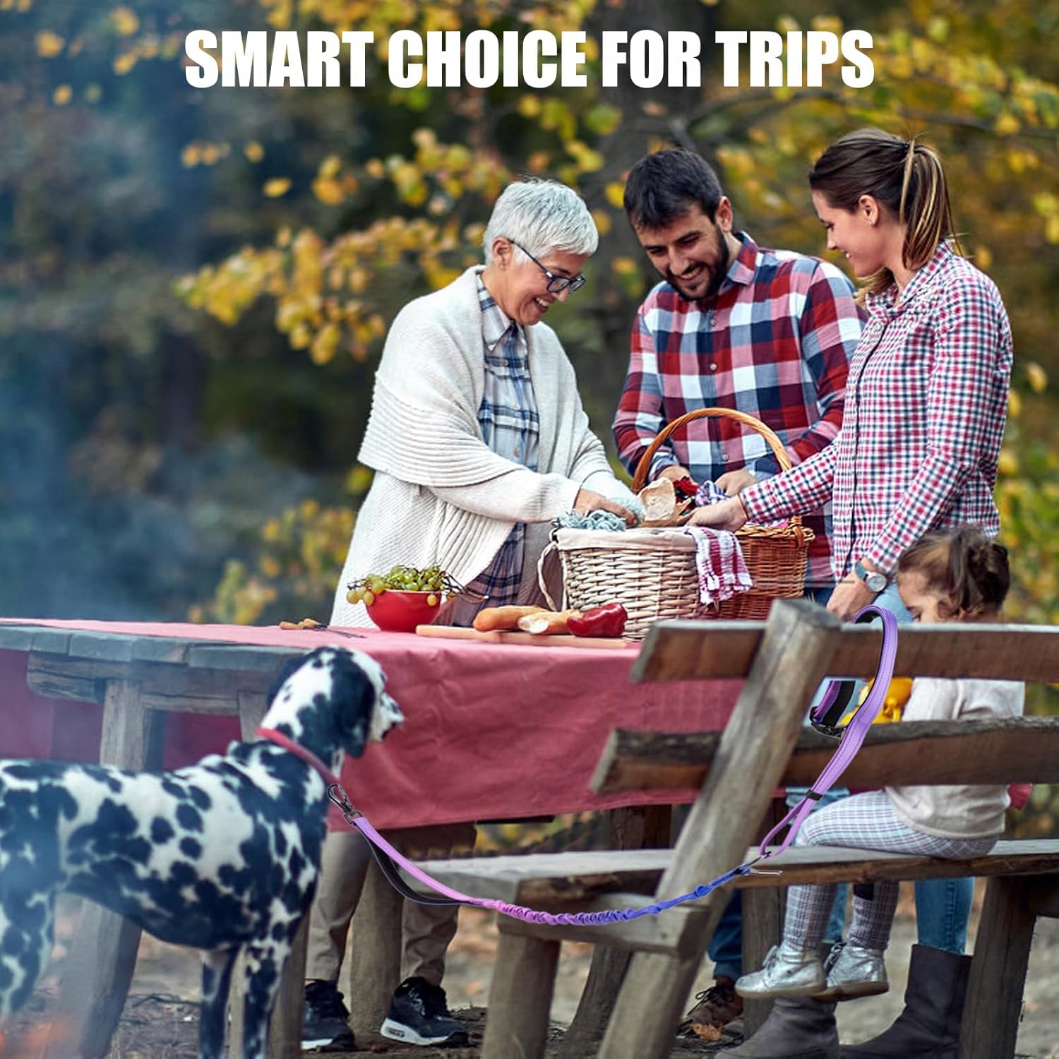 Heavy Duty Hands Free Dog Leash, 5-7 FT Reflective Adjustable Waist Dog Leash Belt with Padded Handles, Shock Absorbing Bungee and Car Seat Belt for Large Medium Dogs (Purple Blue, XL) - Image 7