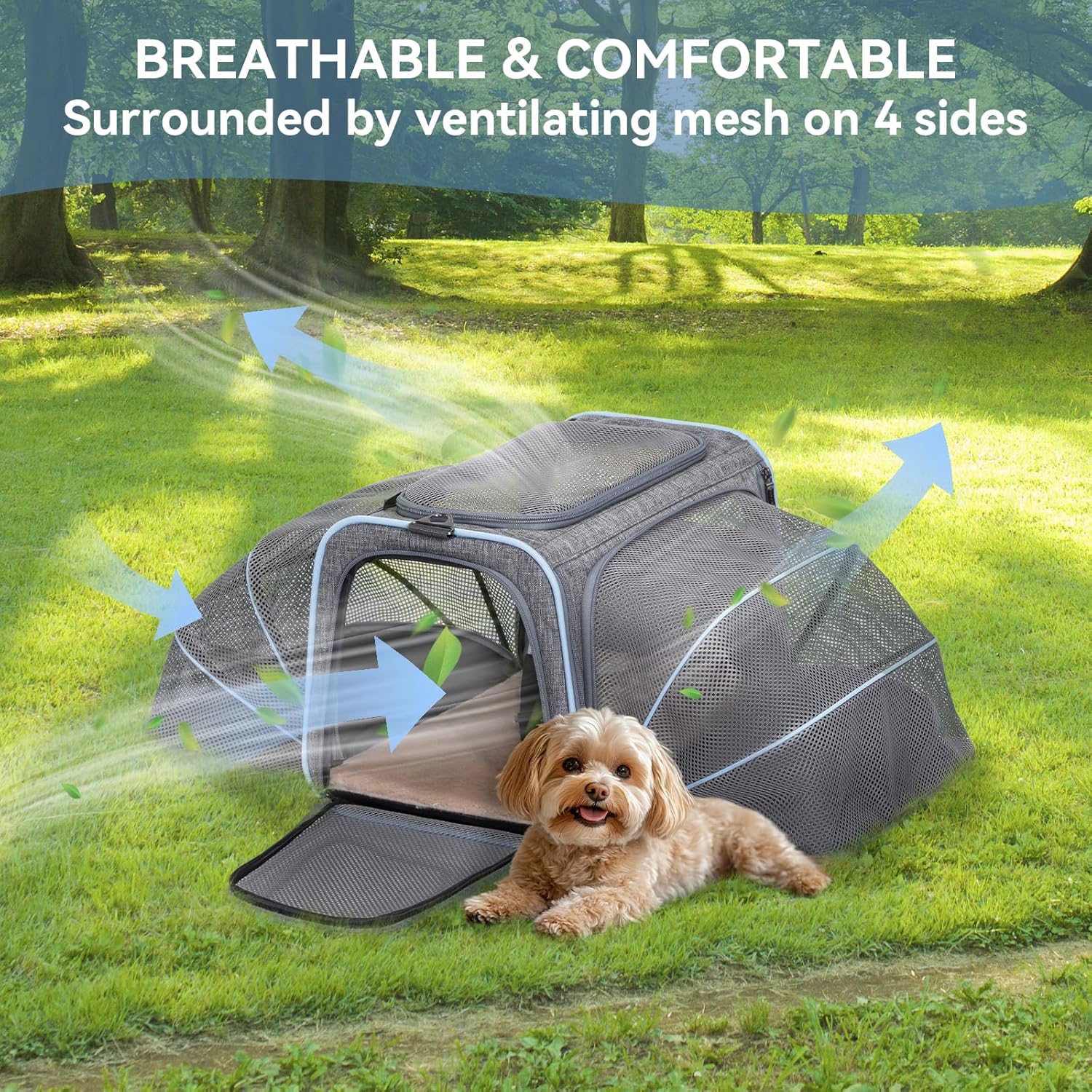 Petsfit Expandable Large Cat Carrier Small Dog Carriers Airline Approved, 17" Lx 11" Wx 11" H Soft-Sided Portable Washable Pet Travel Carrier with 2 Extension for Kittens, Puppies, Rabbits - Image 8