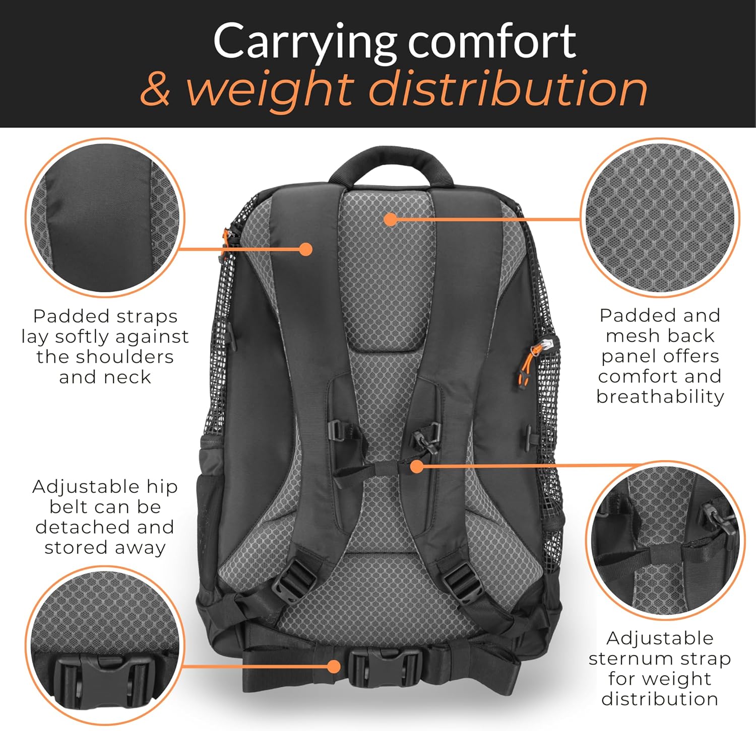 DJANGO Dog Carrier Backpack – Pet Backpack for Small Dogs & Cats with Hip Belt, Laptop Pocket & Water Bottle Sleeve – Travel Dog & Cat Carrier for Hiking, Camping & Commuting (Midnight Black) - Image 6