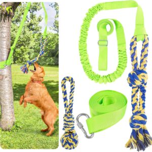 XiaZ Tug of War Dog Toy, Interactive Dogs Toy Bungee Hanging Tether with 2 Chew Rope Toys, Heavy Duty Puppy Outdoor Activity Aggressive Chewers Best Small to Large Boredom Exercise and Play (Green)
