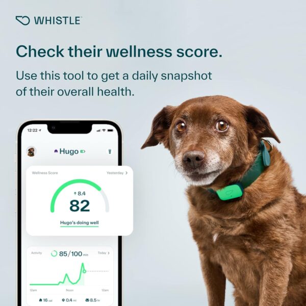 Whistle Health Smart Device | Dog Health and Fitness Tracker | Track Scratching, Licking, Drinking, Eating, Sleeping, and Activity, Green - Image 7