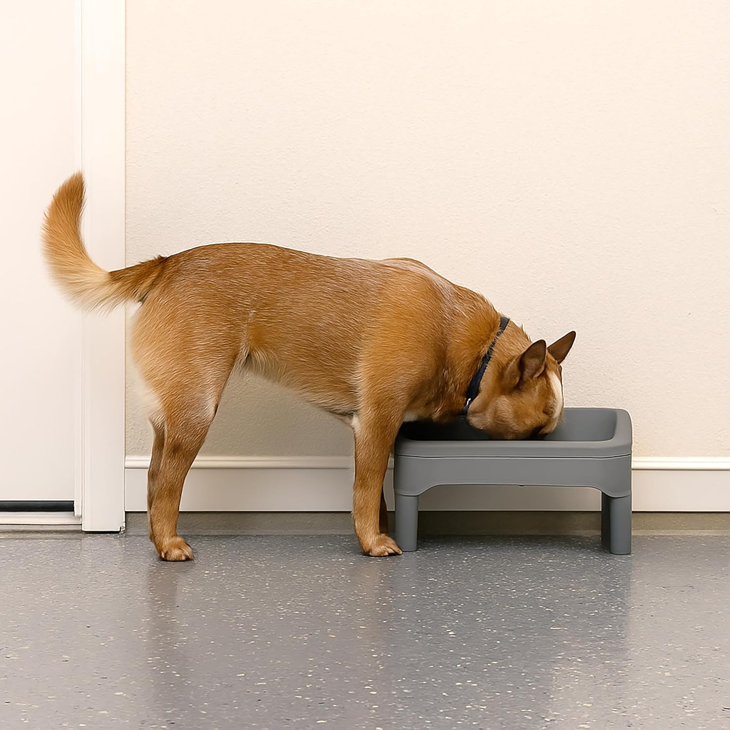 IRIS USA Adjustable Elevated Dog Bowls, Height Adjustable Raised Dog Bowl Stand, Double Food Bowls, Easy to Clean Removable Feeding Station for Small to Large Pets, Gray - Image 10