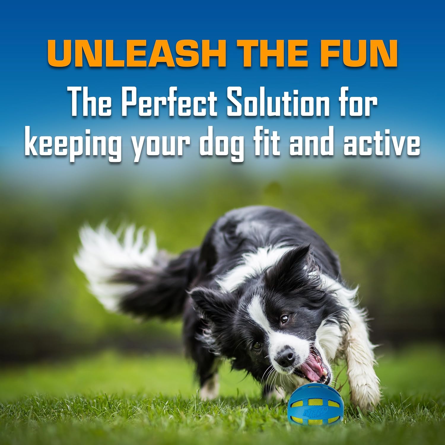 Nerf Dog Toy Gift Set, 3-Piece Set of Outdoor Dog Toys for Fetch, Includes Checker Crunch Ball, Spike LED Squeak Ball and Tire Squeak Football - Image 3