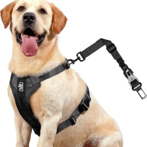 OneTigris Dog Safety Vest Harness, REX Car Use Dog Harness Adjustable Pet Harness with Leash for Medium Large Dogs(Black,L)