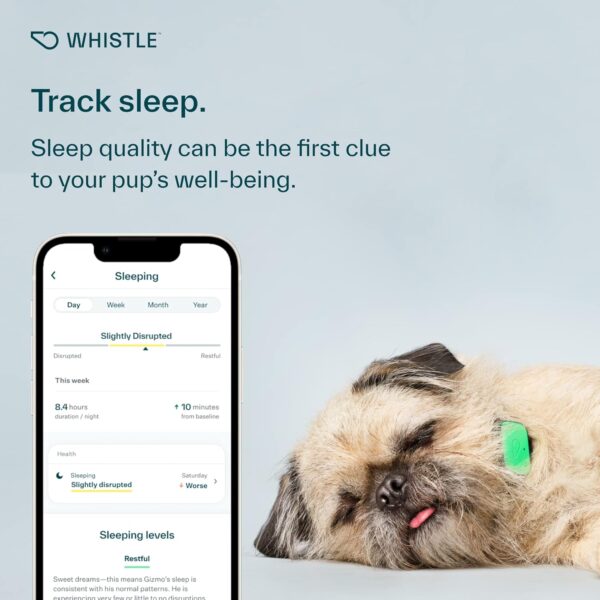 Whistle Health Smart Device | Dog Health and Fitness Tracker | Track Scratching, Licking, Drinking, Eating, Sleeping, and Activity, Green - Image 6