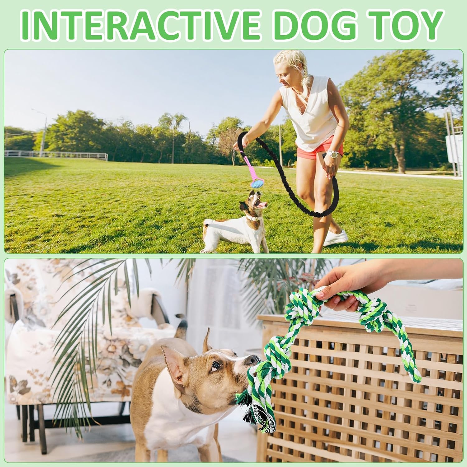 Hiboom 6 Pcs Interactive Dog Tug of War Toy Set Hanging from Tree and 4 Chew Ropes Teething Rope for Teeth Cleaning Dog Bungee Toy for Small/Medium Dogs with Aggressive Chewing Habit, Dogs Supplies - Image 7