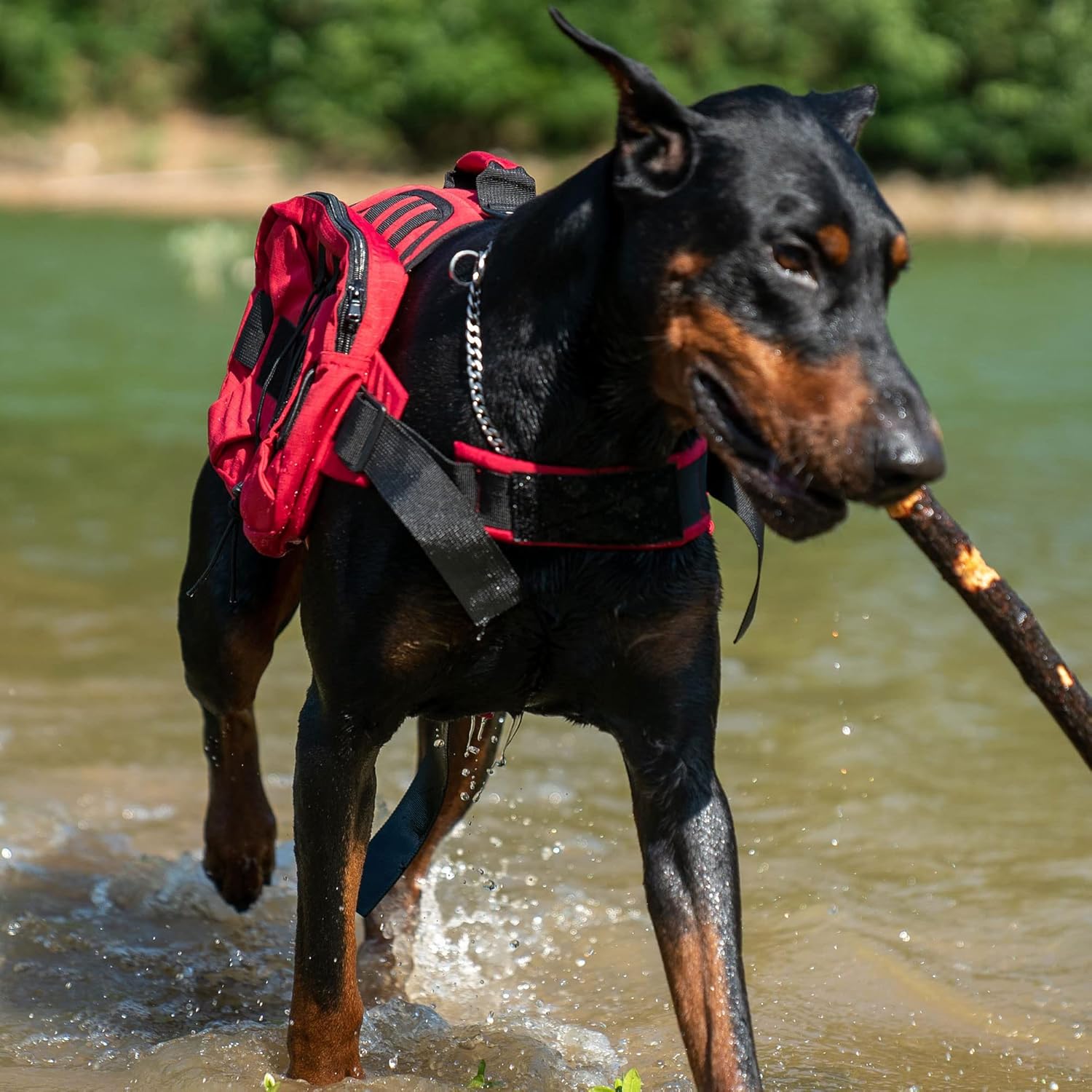 Large Dog Backpack, Outdoor Hound Saddle Bag Dog Pack with Side Pockets for Small Medium Large Dogs, Adjustable Tactical Dog Pack for Hiking, Travel, Camping, Training Red M - Image 9