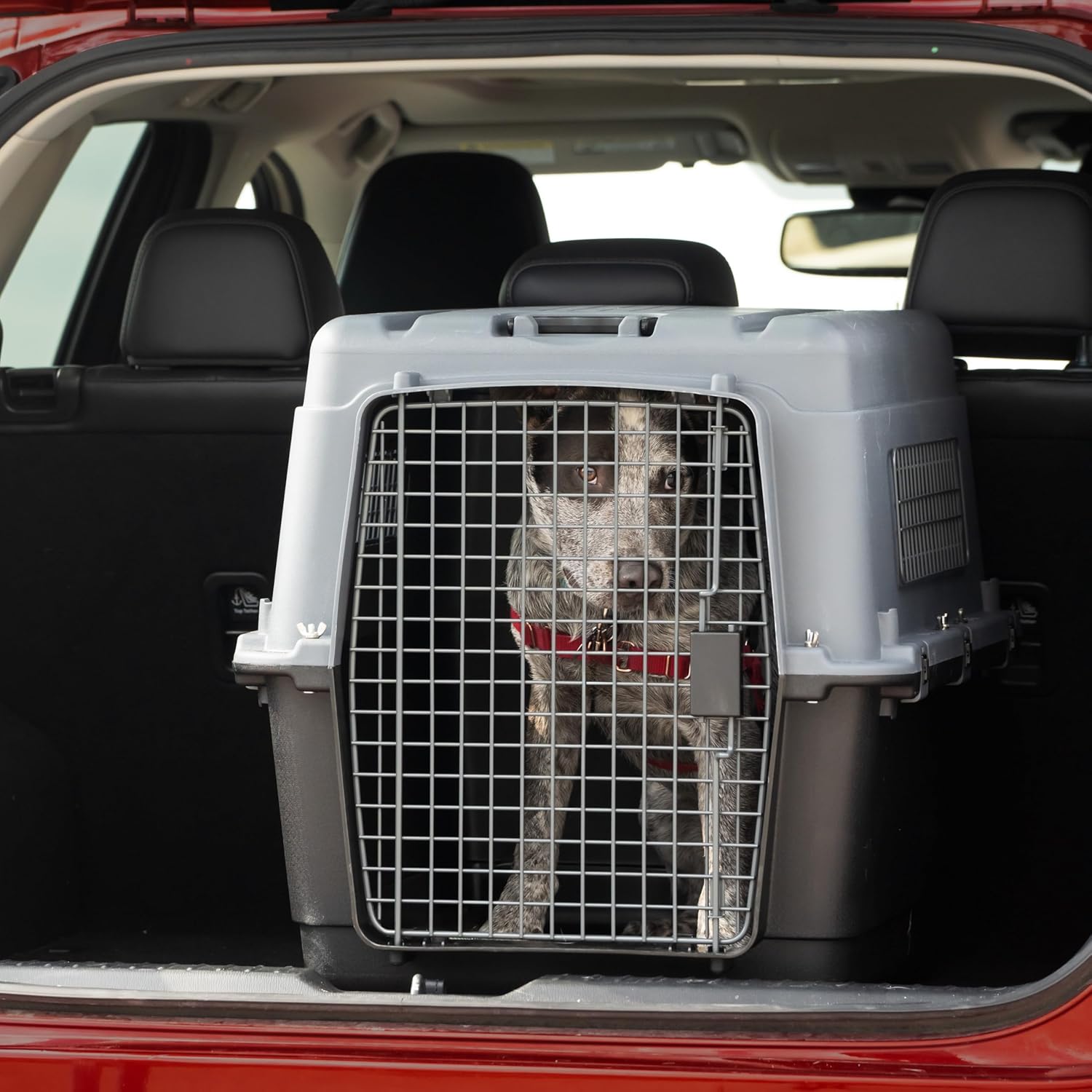 SportPet Designs Plastic Airline Approved Kennels Wire Door Travel Dog Crate, Large - Image 5