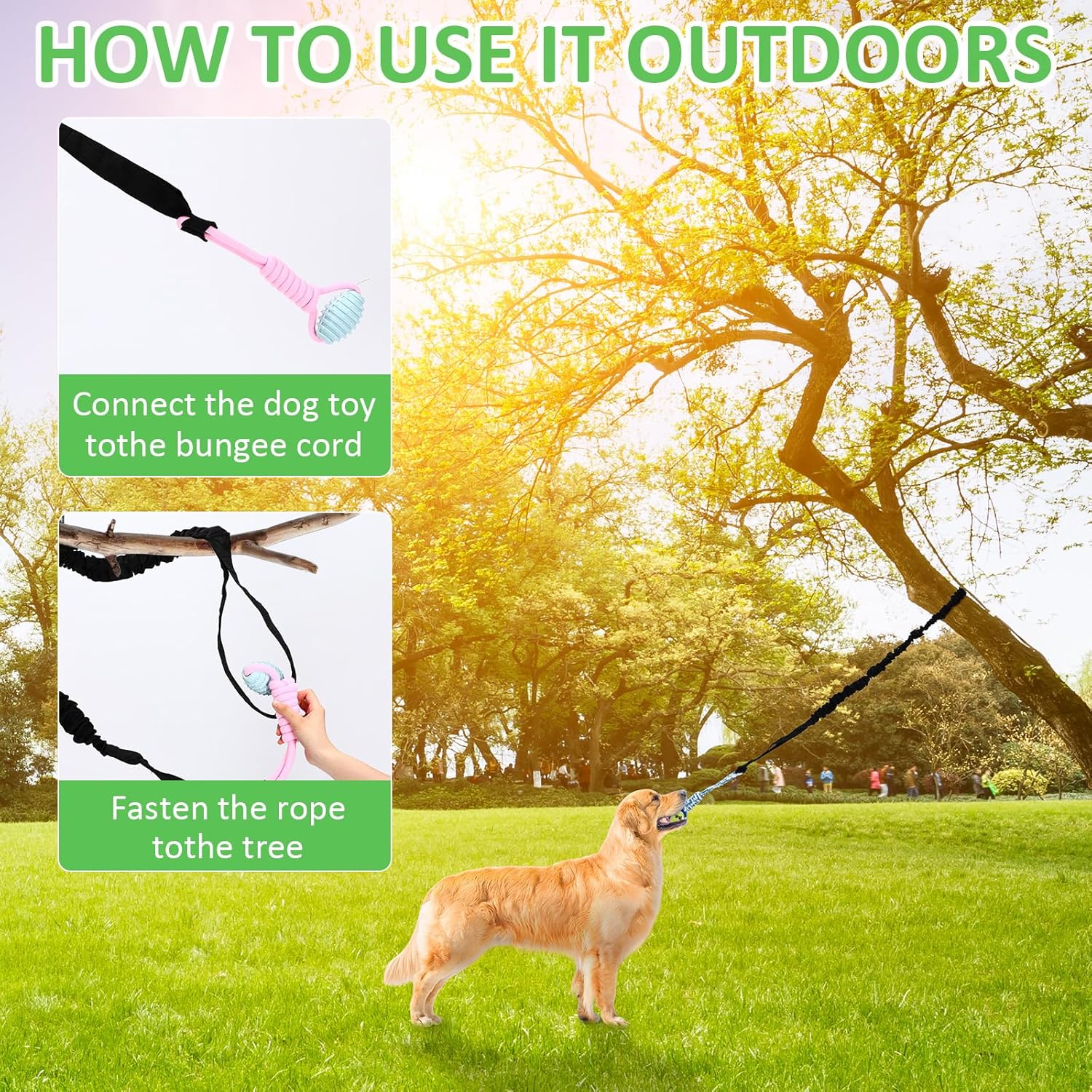 Hiboom 6 Pcs Interactive Dog Tug of War Toy Set Hanging from Tree and 4 Chew Ropes Teething Rope for Teeth Cleaning Dog Bungee Toy for Small/Medium Dogs with Aggressive Chewing Habit, Dogs Supplies - Image 5