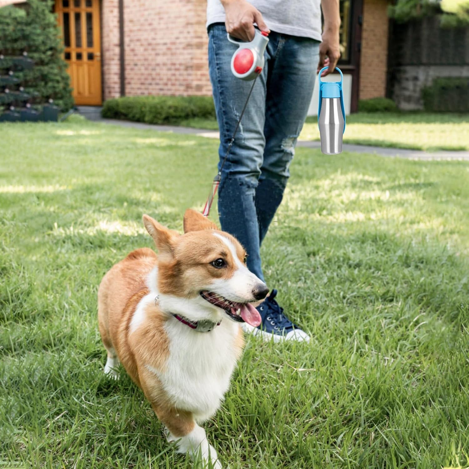 Portable Dog Water Bottle with Dispenser, 750ml Stainless Steel Travel Cup and Collapsible Water Bowl for Outdoor Activities, Walking,Hiking, Road Trips (Light Blue) - Image 6