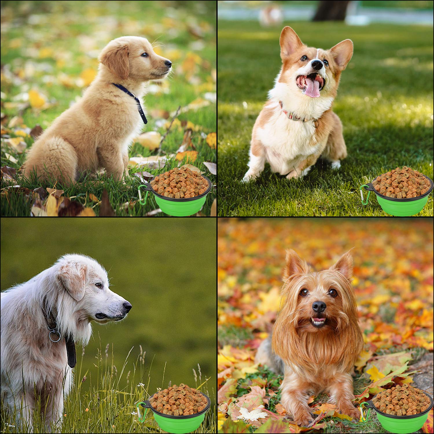 2 Pack Large Size Collapsible Dog Bowl, Food Grade Silicone BPA Free, with Carabiner Clip Foldable Expandable Cup Dish for Pet Cat Food Water Feeding Portable Travel Bowl (Purple & Green) - Image 5