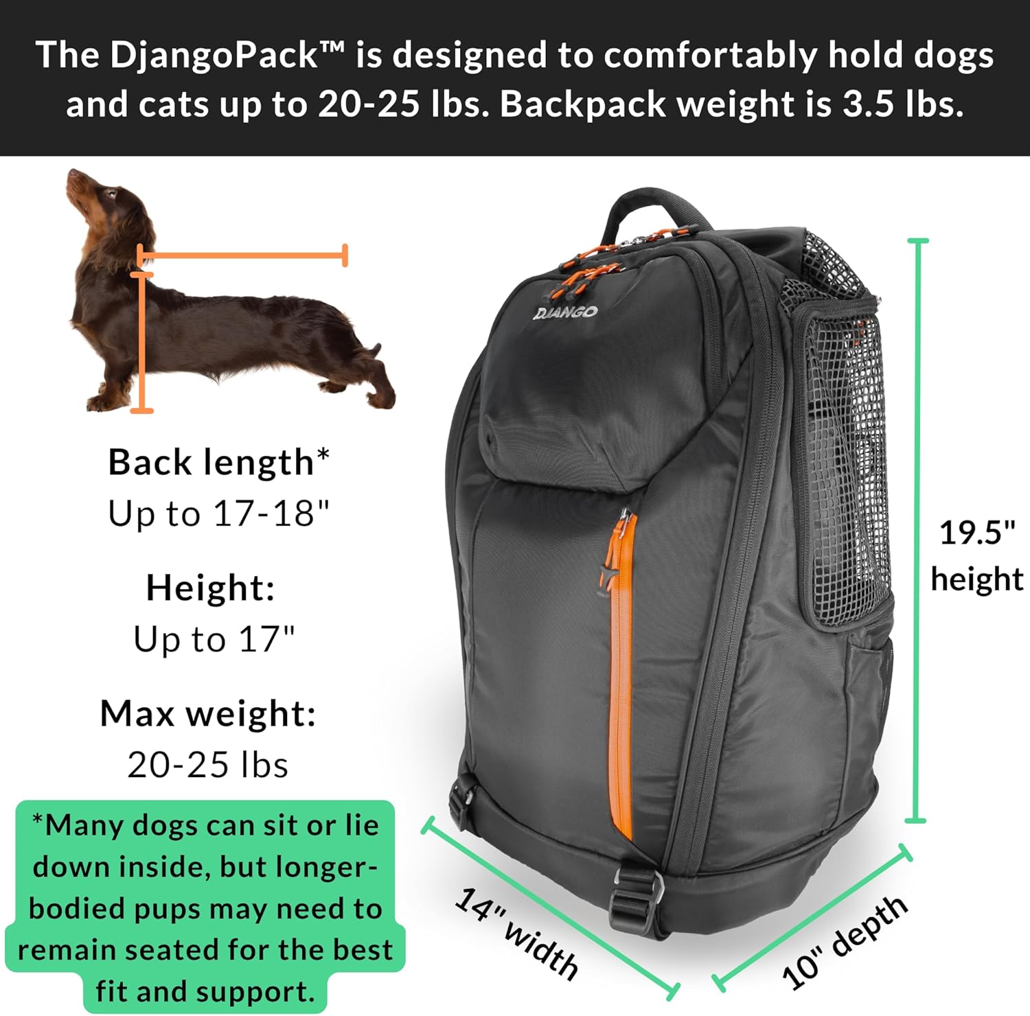 DJANGO Dog Carrier Backpack – Pet Backpack for Small Dogs & Cats with Hip Belt, Laptop Pocket & Water Bottle Sleeve – Travel Dog & Cat Carrier for Hiking, Camping & Commuting (Midnight Black) - Image 3