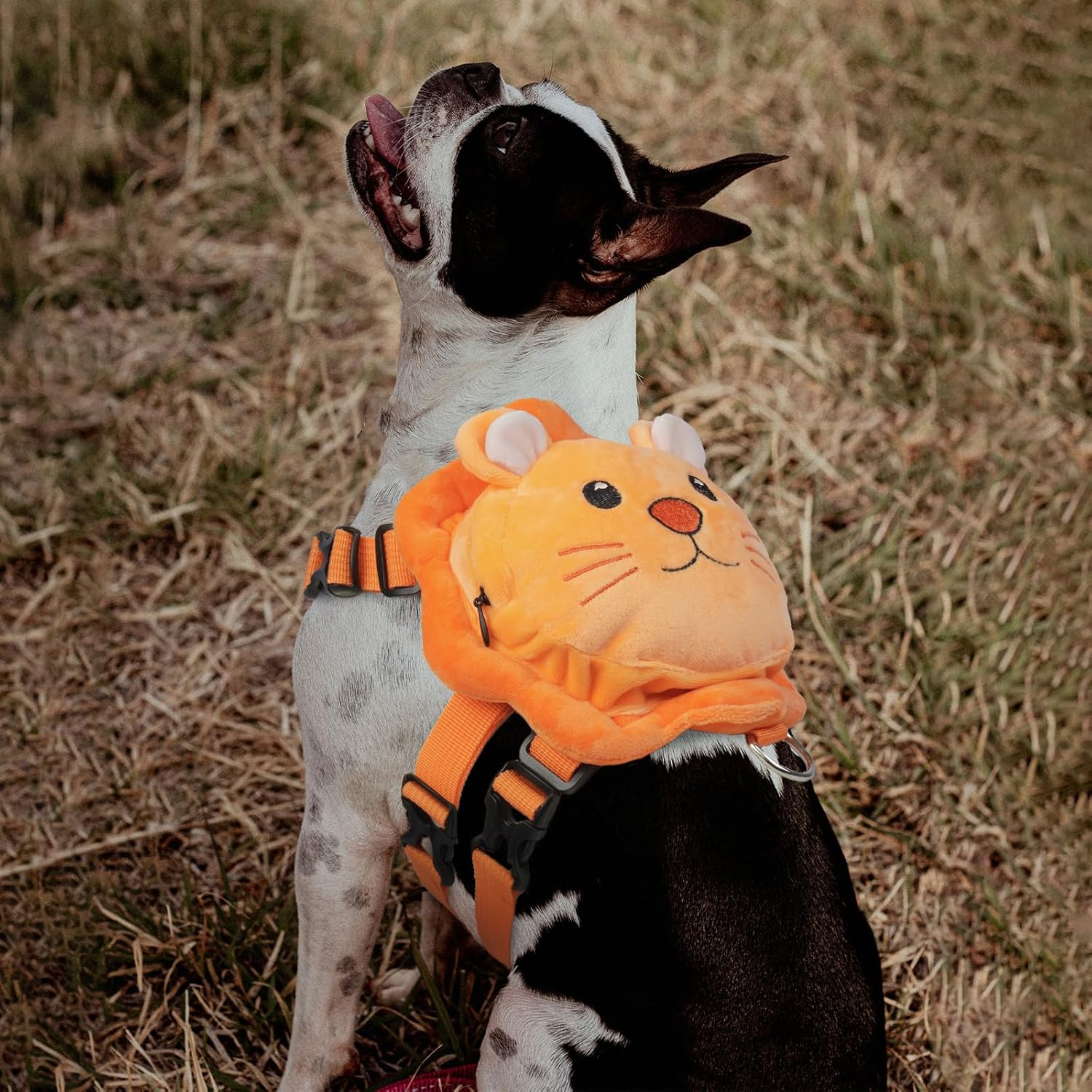 ROZKITCH Dog Backpack Harness, Soft and Adjustable Pet Saddle No Pull Bag with D-Ring for Small Medium Dogs, Cute Lion Design for Outdoor Travel, Walking, and Hiking Animal Self Carrier Bag M - Image 8