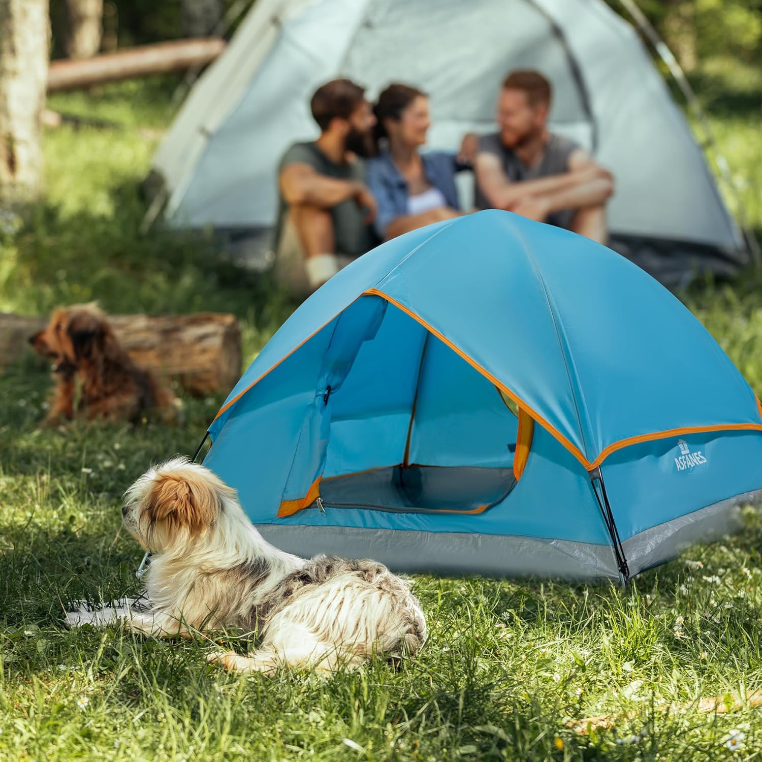 Outdoor Waterproof Pet Camping Tent, Cave Bed for Indoor Cats and Small Dogs, Portable Cat House Dog House, 21.6x21.6x14.9'', Blue, S. - Image 4