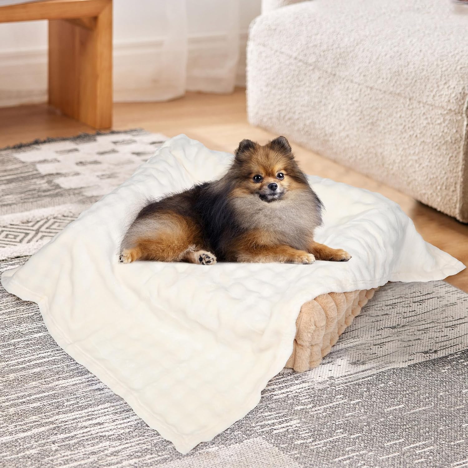 Chicute Dog Blanket, Luxury Plush Washable Large Dogs Blankets for Couch Protection (Beige, 40"x50") - Image 3