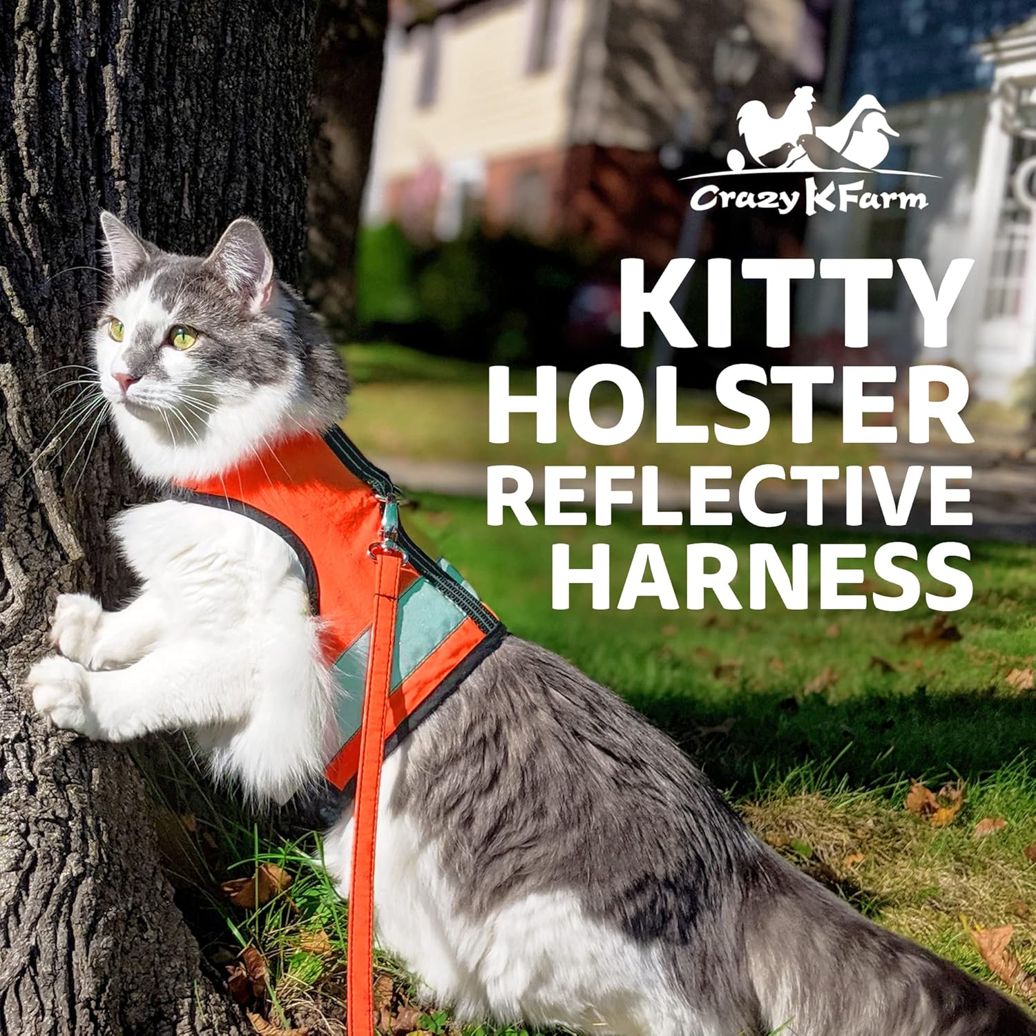 Reflective Cat Harness – High-Visibility Cat Harness for Travel, Day and Night Walking - Soft Cotton Cat Accessories, Breathable, Secure & Washable, Made in USA - Outrageous Orange, XS - Image 2