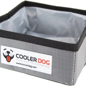 Pocket Bowl - Collapsible, Foldable, Travel Dog Bowl for Food and Water (24 oz.)