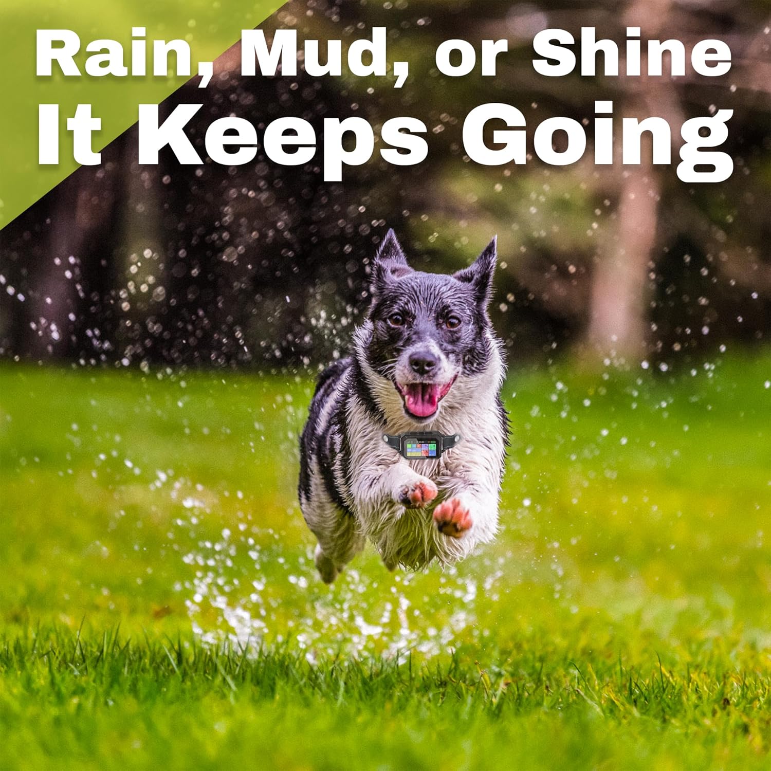 Customizable Invisible GPS Dog Collar Fence System, Waterproof LCD Collar & – Wireless Dog Fence, Wireless Pet Collar & App-Controlled Dog Training Collar - Image 6