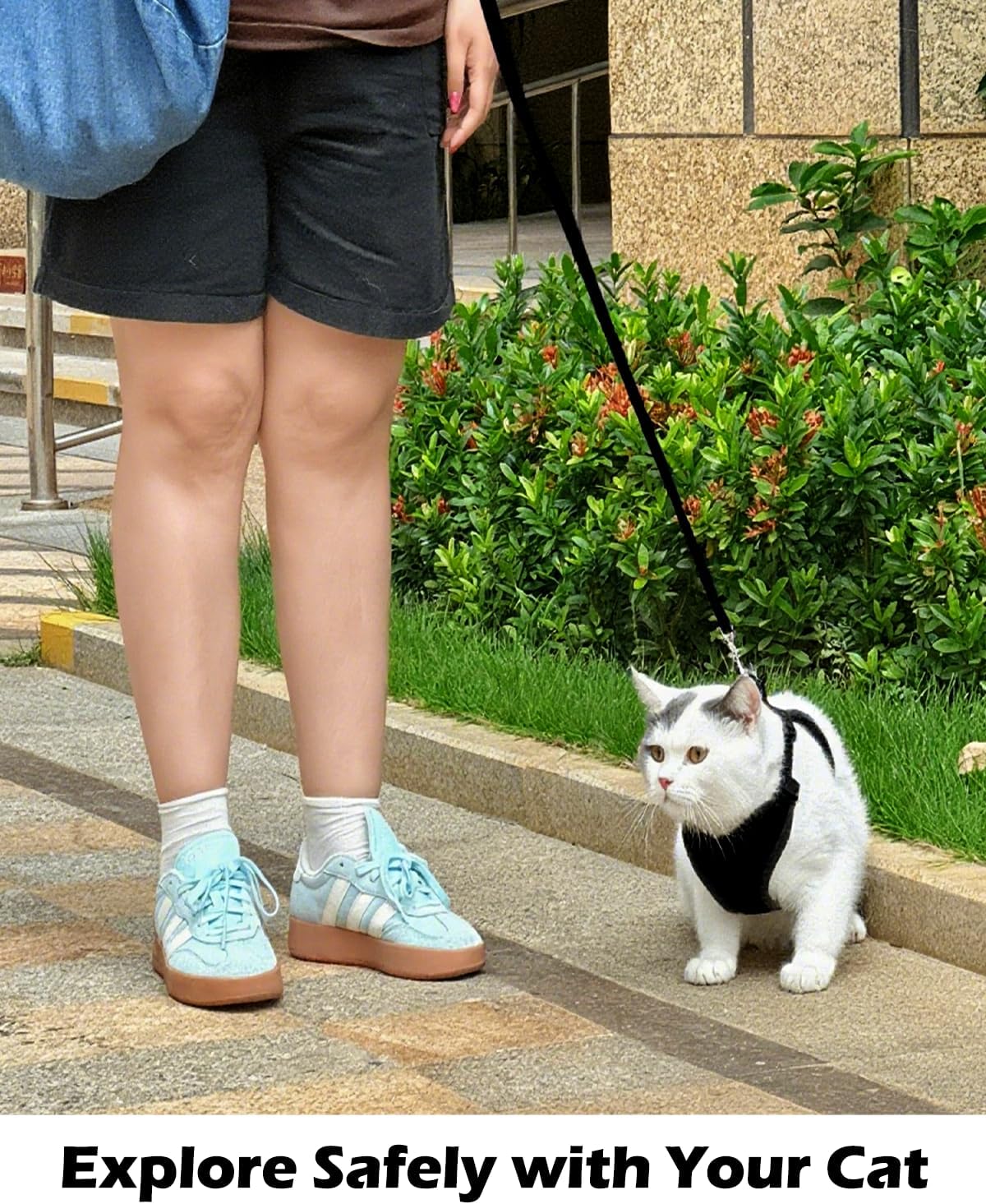 Luxelle 2 Pack Escape-Proof Cat Harness and Leash Set for Walking – Adjustable No Pull Soft Vest with Easy-Wear Buckle, Reflective Straps, Breathable Mesh – Outdoor Travel Harness for Cats & Kittens - Image 8