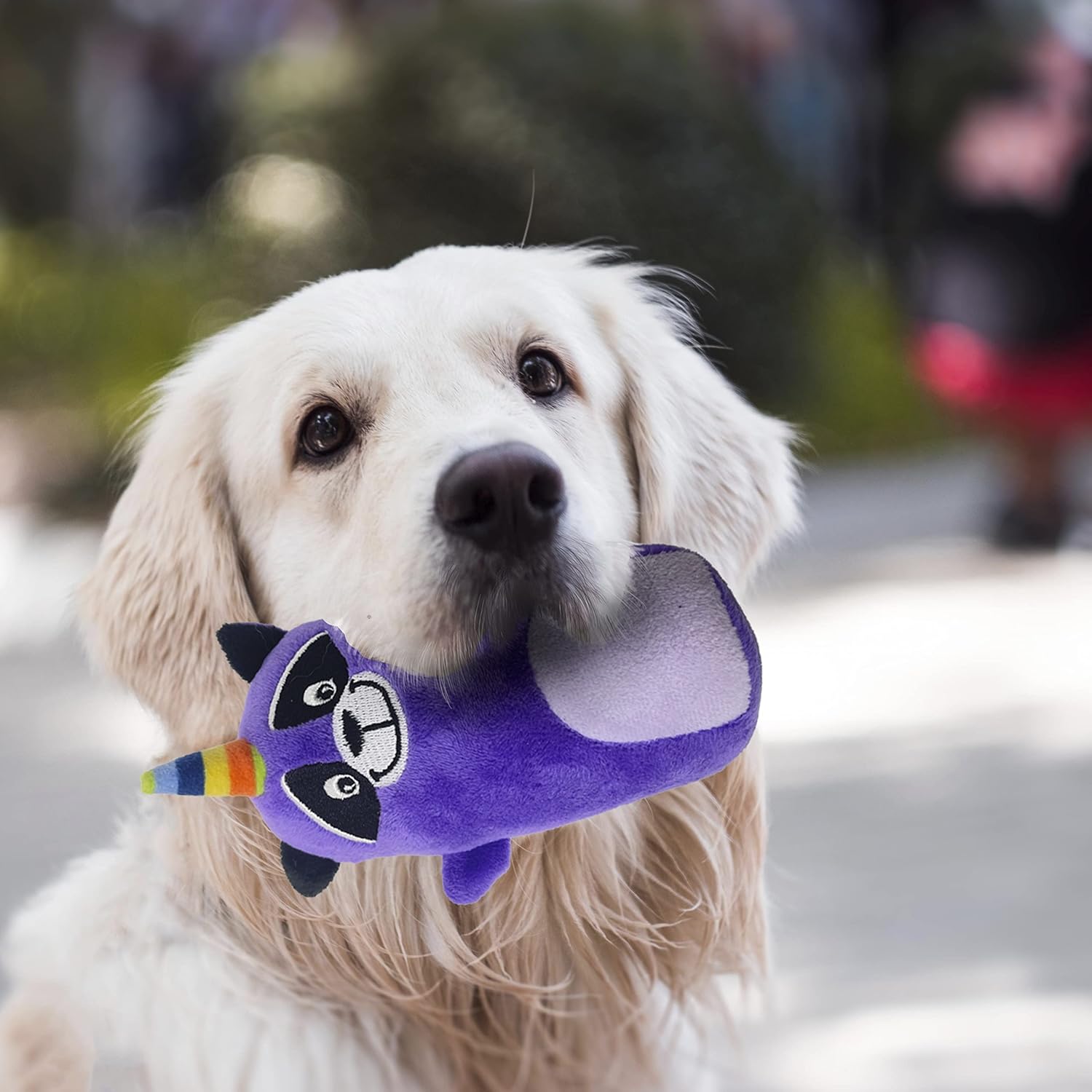 Jalousie 5 Pack Tough Plush Animal Dog Toys Assortment Value Bundle Dog Squeaky Toys Assortment Puppy Pet Mutt Dogs Toy Squeak Toy for Snall Medium Large Breeds (6 Pack Surprise Mix) - Image 2