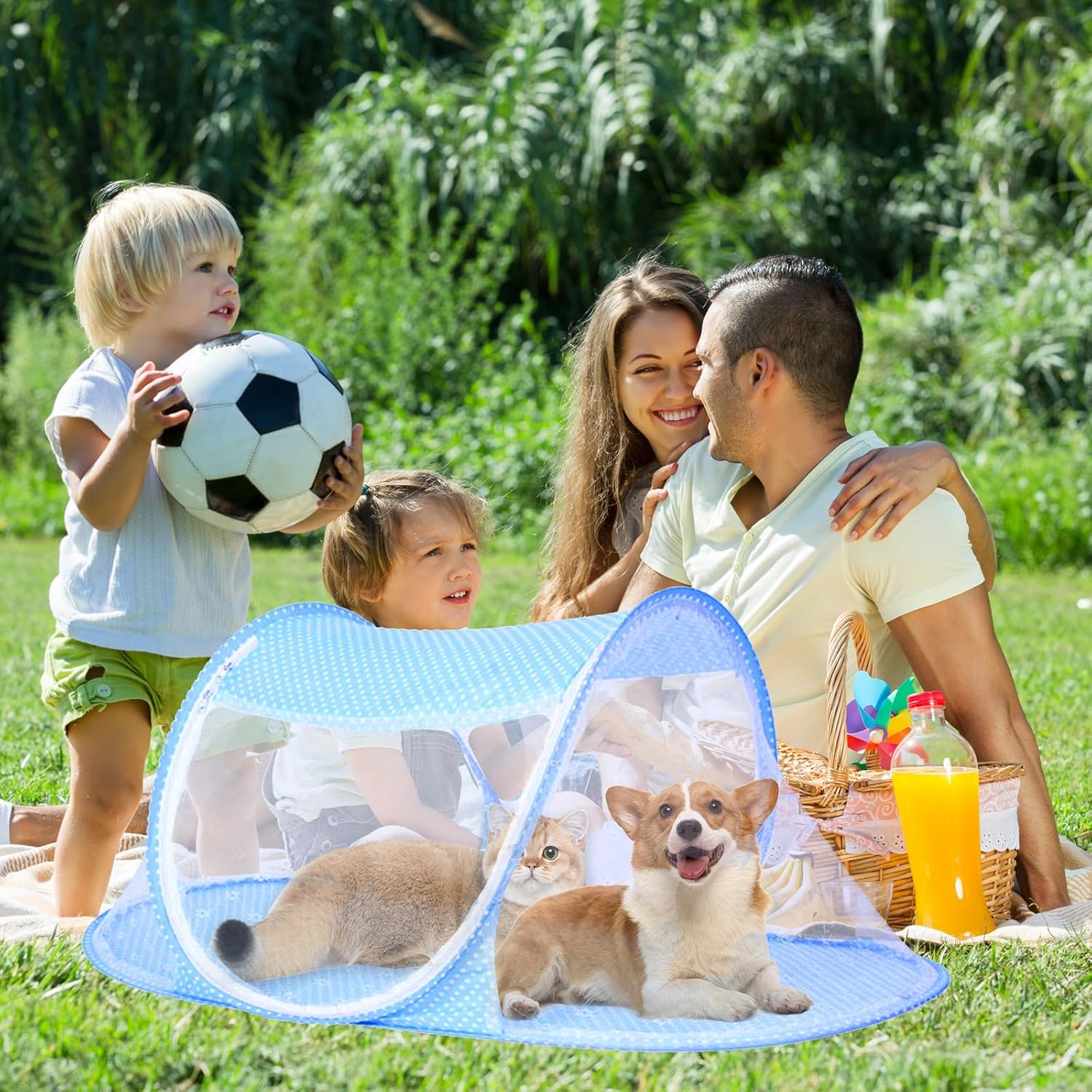 Cat Tent Outdoor, Outside Pet Enclosure Tent Pop Up House Indoor Playpen, Portable Exercise Tent for Cats and Small Animals in Deck Yard Patio Park Camping Travel Outdoor Summer (Blue) - Image 6