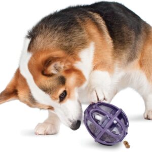 PetSafe Busy Buddy Kibble Nibble - Dog Toy - Treat and Food Dispenser - Slow Feeder - Small