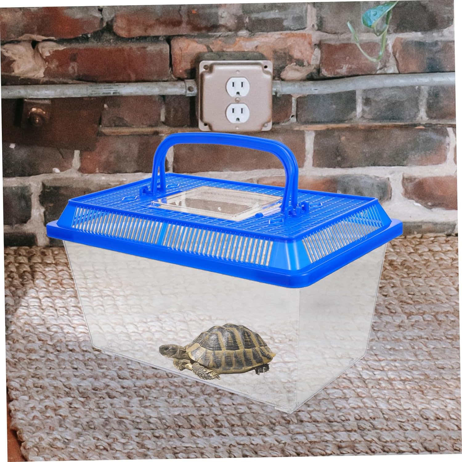 SUPVOX Red Eared Slider Turtle Tank Pet Feeding Box with Ramp Reptile Habitat Tank - Image 9