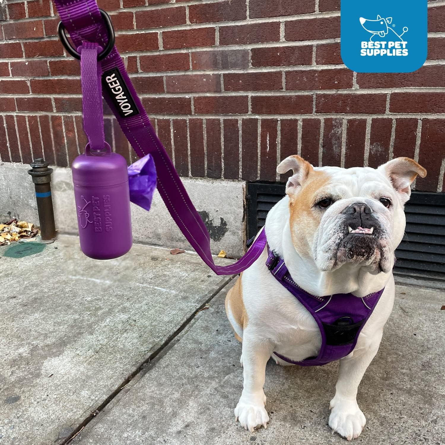 Best Pet Supplies Dog Poop Bag Holder Leash Attachment with 30 Bags, Reusable Dispenser for Travel, Walking, Park, and Outdoor Use, Durable with Clip-On - Black, Pack of 2 - Image 5