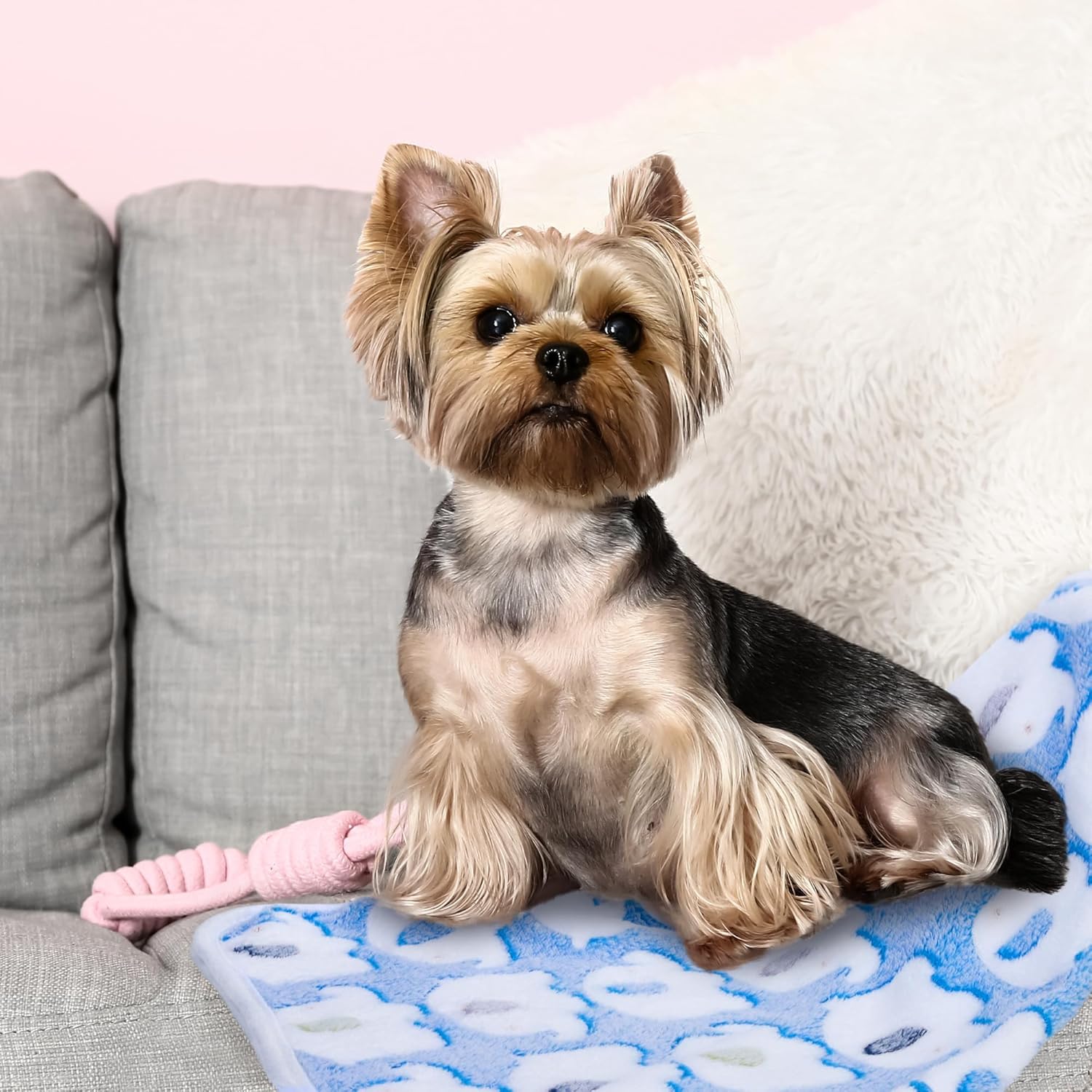 MCEAST 24 Pack Paw Print Plush Pet Blankets 24 x 16 Ultra-Soft & Cozy Small Dog Cat Bedding Mats with 12 Stylish Designs Machine Washable Multipurpose Fluffy Throw for Kennel, Sofa, Travel - Image 5