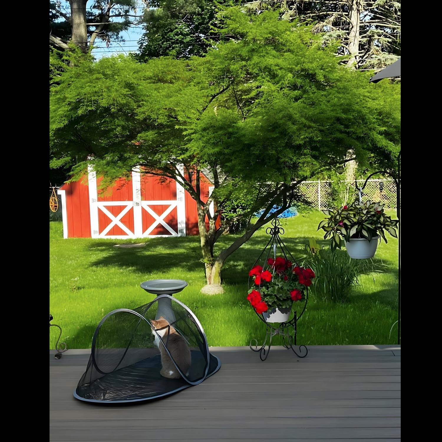 Cat Tent Outdoor, Pet Enclosure Tent Suitable for Cats and Small Animals, Indoor Playpen Portable Exercise Tent with Carry Bag(Black) - Image 9