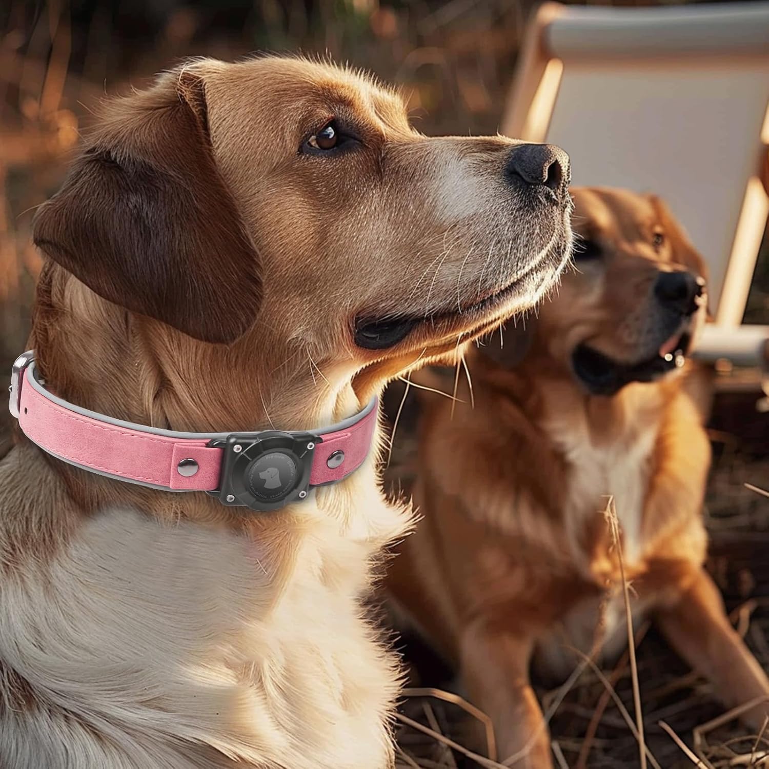 AirTag Dog Collar - Leather Dog Collar with Air Tag Holder | IPX8 Waterproof, Reflective, High - End, Adjustable Soft Padded | Dog GPS Tracker Collars Fit for Medium Large Dogs (Pink, L) - Image 6