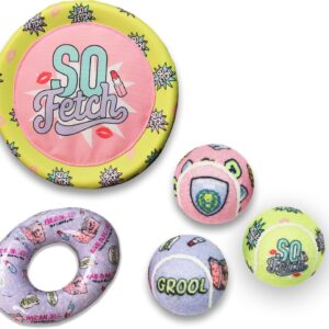 design LAB, Inc. Mean Girls Official Merchandise | Cool Toys for Dogs | Includes 3 Squeaky Tennis Balls for Dogs, an Outdoor Frisbee and a Durable Chew Toy