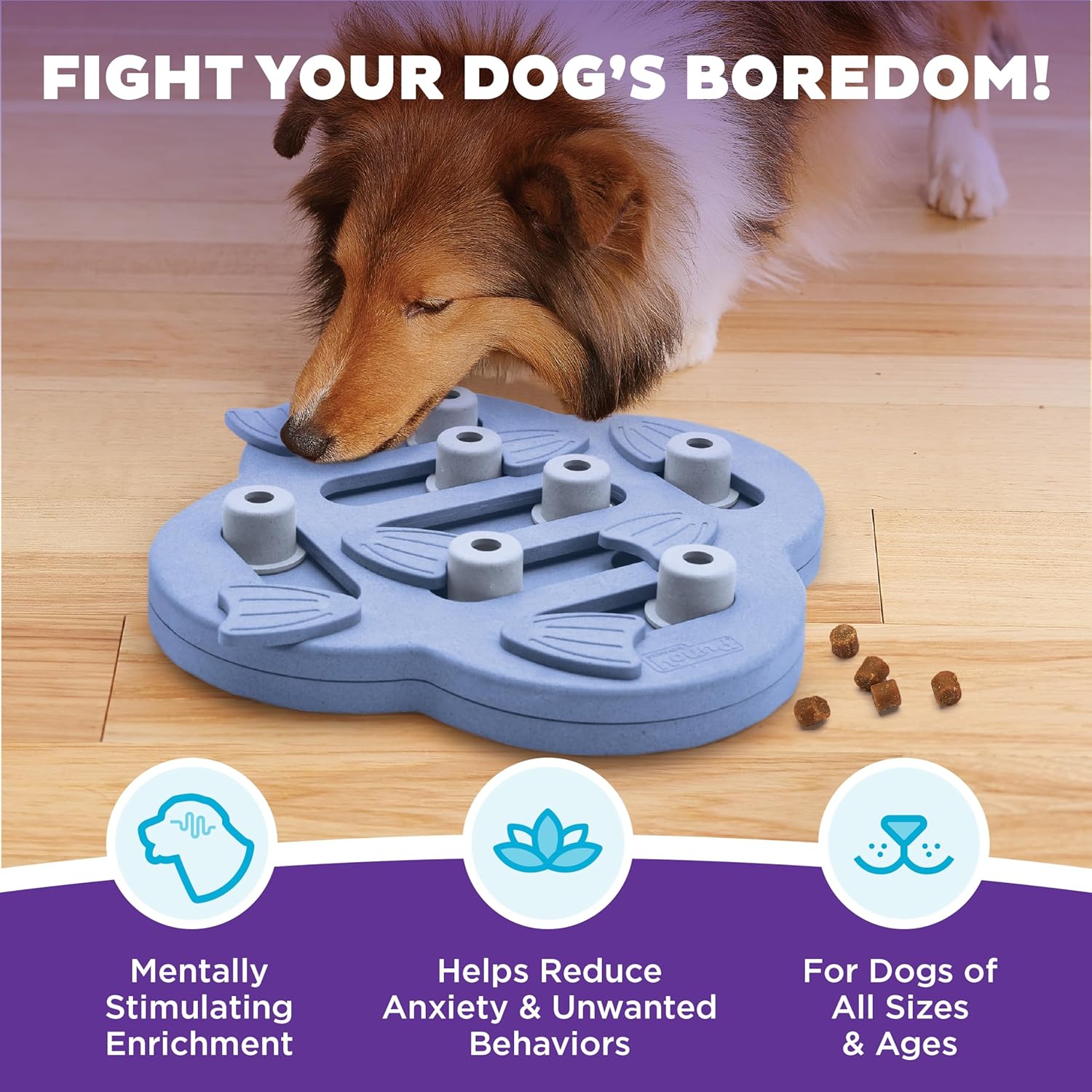 Outward Hound by Nina Ottosson Dog Hide N' Slide Treat Puzzle Enrichment Toy, Level 2 Intermediate, Purple, Composite - Image 2