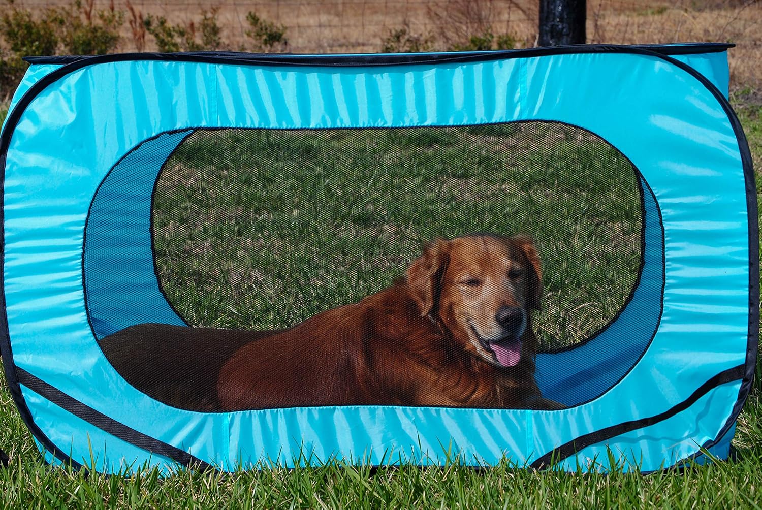 Bark Brite Pop Open Collapsible Travel Crate in 2 Sizes (Extra Large) - Image 4