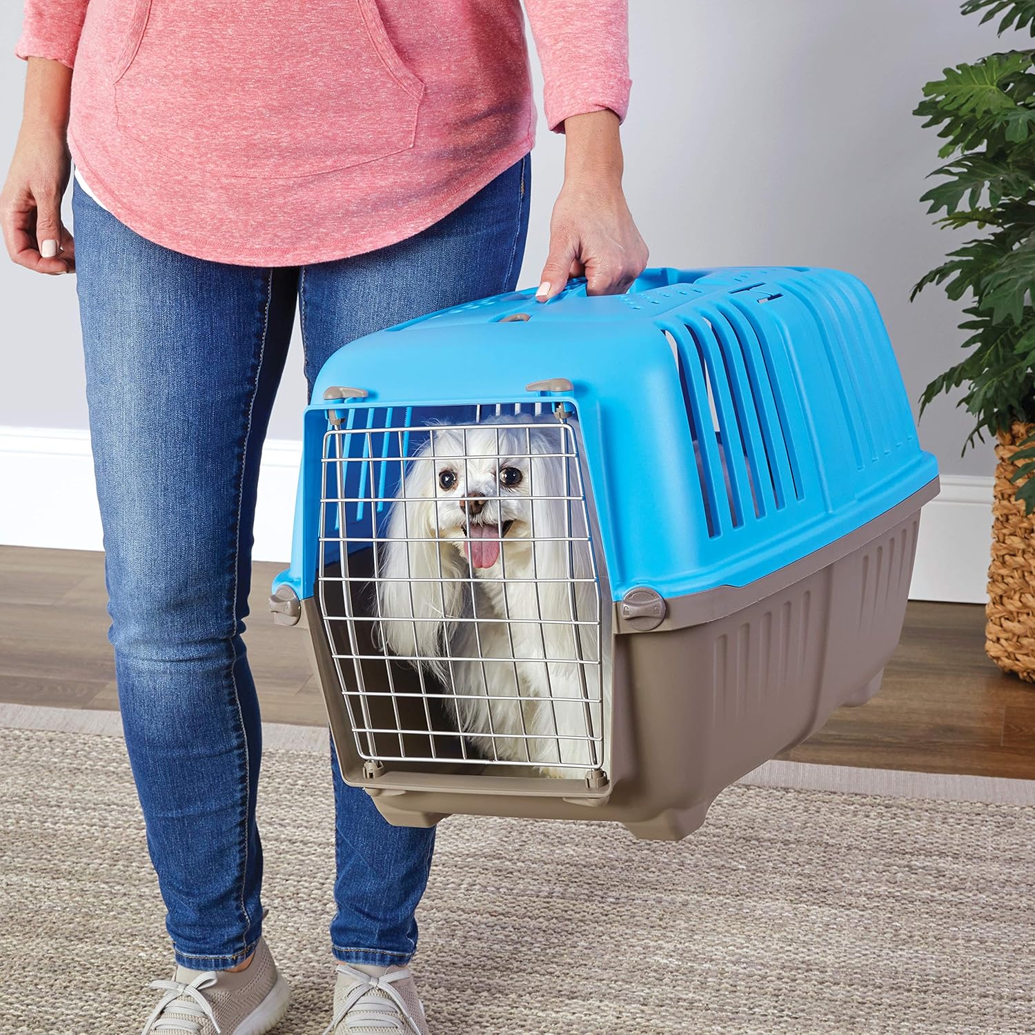 MidWest Homes for Pets Spree Travel Carrier – Hard-Sided Dog & Cat Carrier, Small Pet Travel Crate with Handle, Ventilated Design, Easy Assembly, 24-Inch, Blue - Image 3