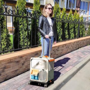 2-in-1 Wheeled Pet Carrier Backpack,Breathable Pet Carrier with Wheels,Collapsible Dog Backpack Carrier with Removable Mat,Dog Stroller Travel Carrier with Mesh Ventilation Windows