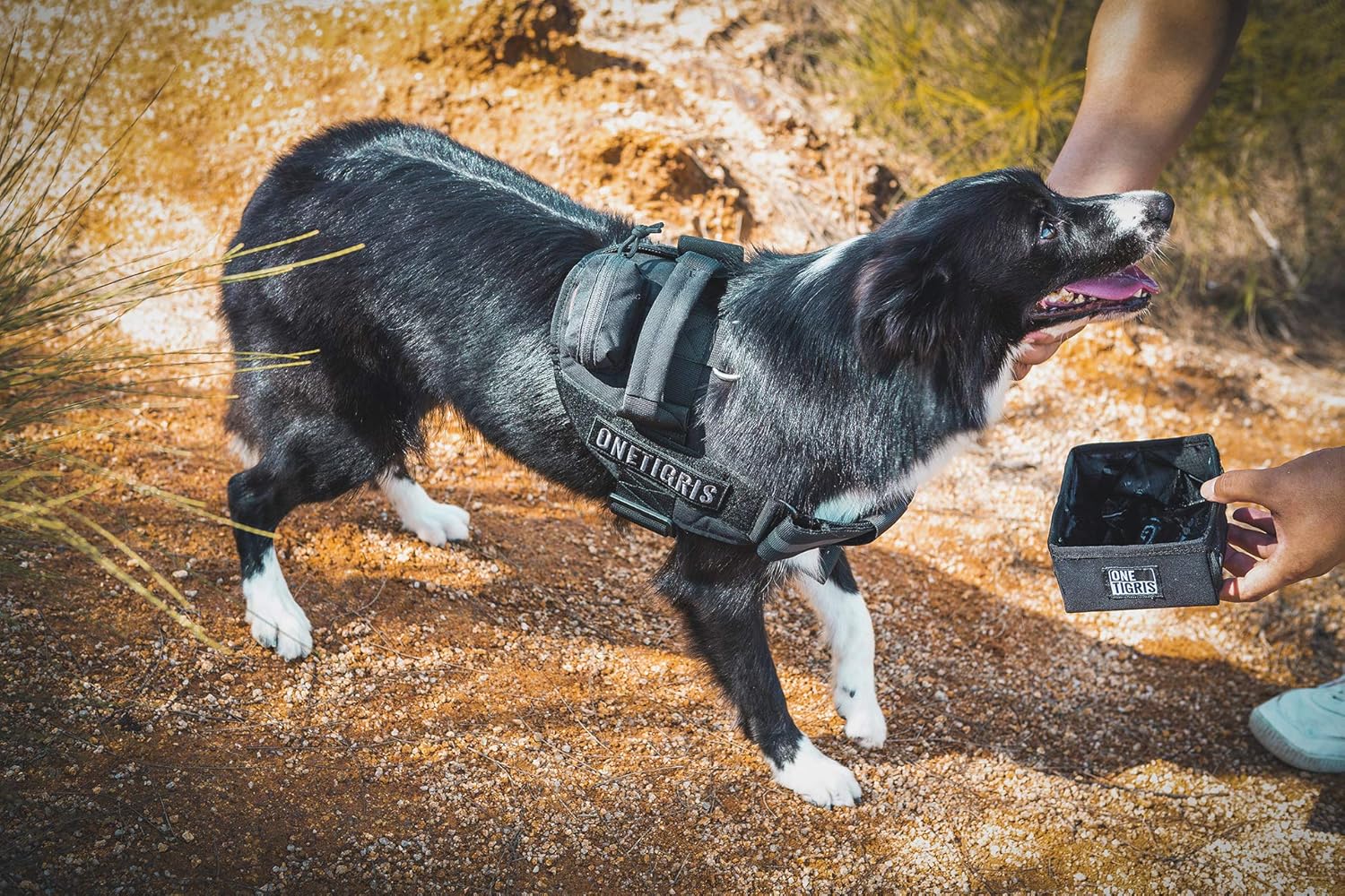 OneTigris Military Pet Bowl Collapsible 32 oz Treat Food & Water Holder for Small to Medium Puppy Dog - Image 6