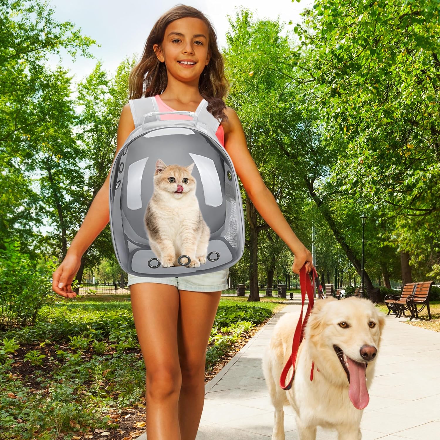 Cat Backpack Carrier Bubble Bag, Transparent Space Capsule Pet Carrier Dog Hiking Backpack, Small Dog Backpack Carrier for Cats Puppies Airline Approved Travel Carrier Outdoor Use Yellow Gray - Image 5