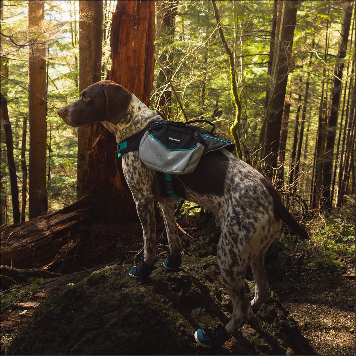 Adventure Backpack - Teal - M - Image 7