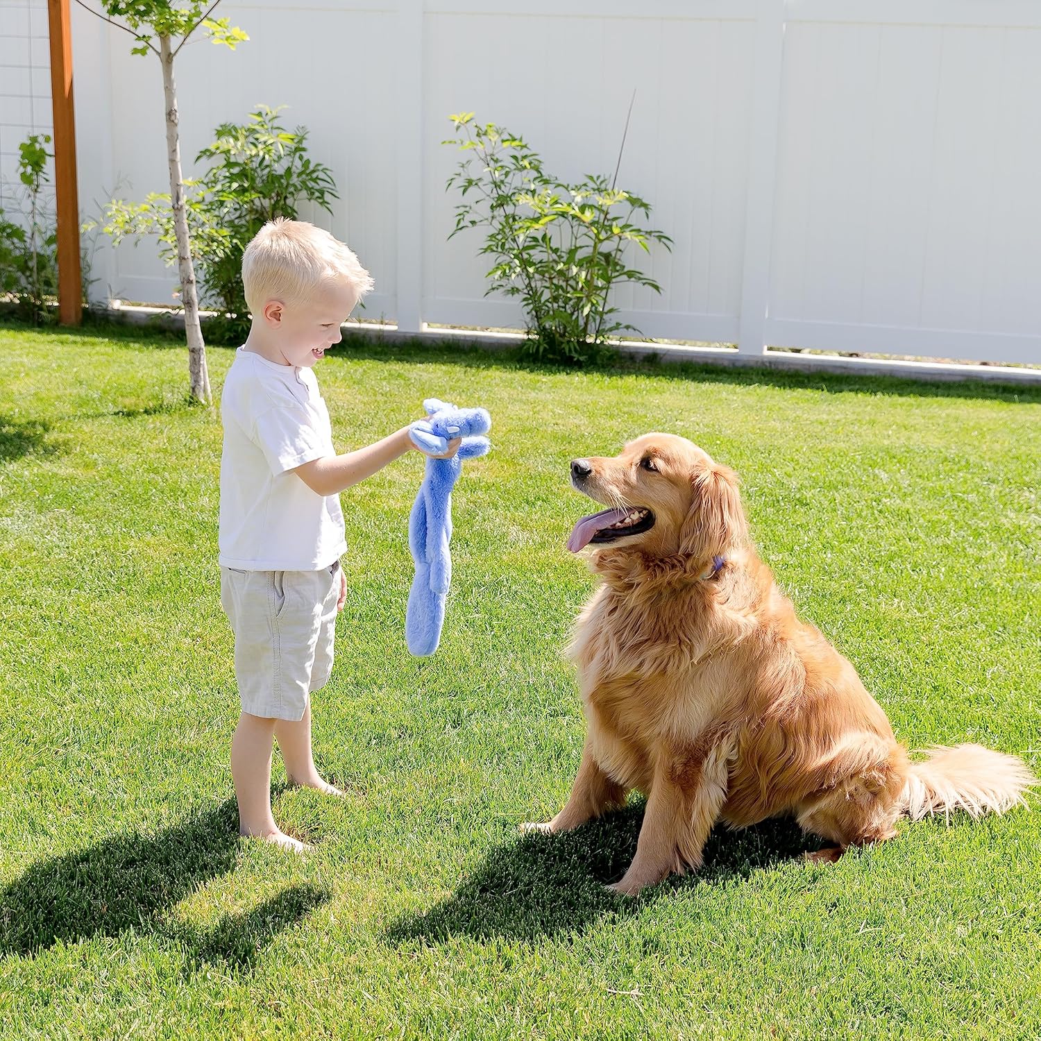 Squeaky No Stuffing Dog Toy Set – New & Improved Edition Plush Crinkle Dog Toys for Small, Medium & Large Breeds – Soft Tough Stuffless Puppy Chew Squeak Animal Supports Pet Health & Well Being 5 Pack - Image 7