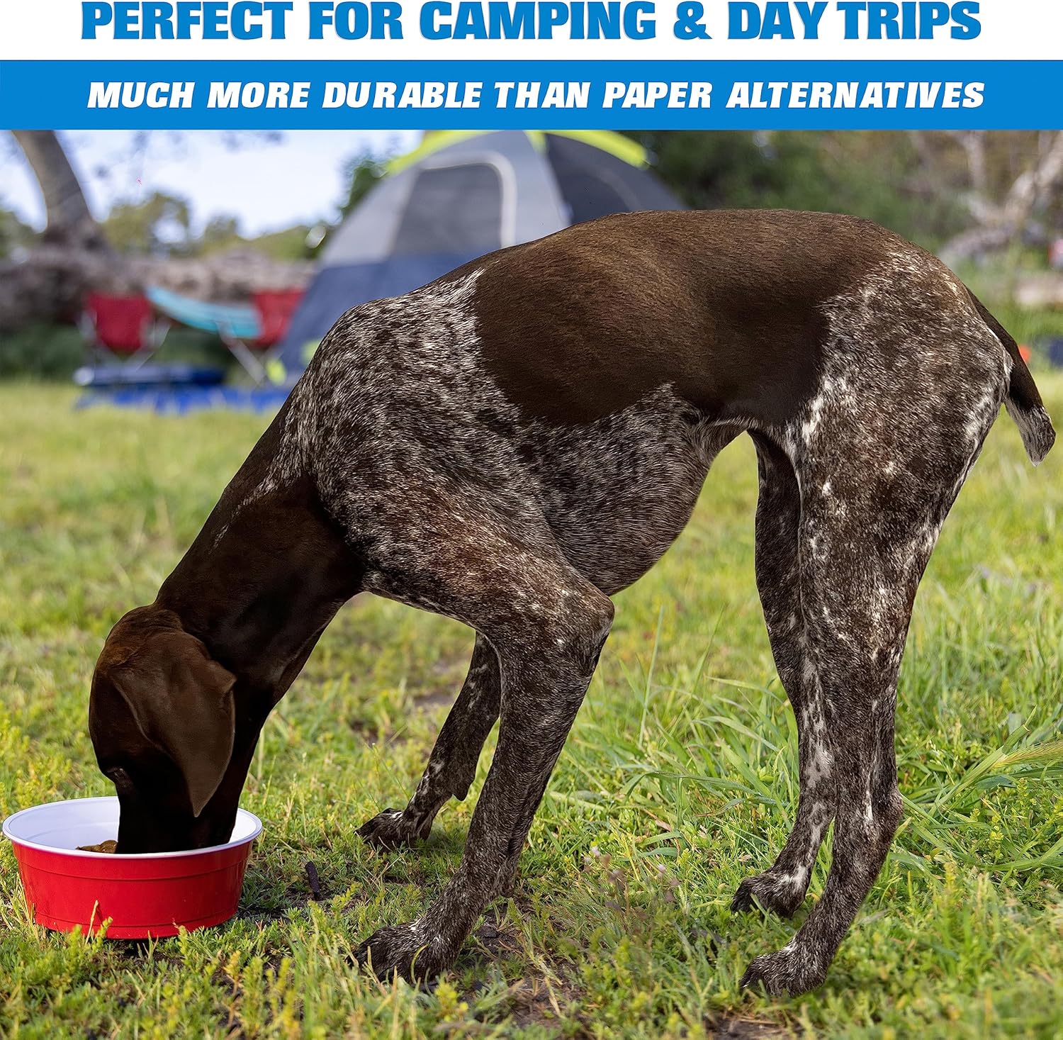 GoSports Party Dog Disposable Red Cup Style Pet Food Bowls for Cats and Dogs - 50 Small Size Bowls - Image 4